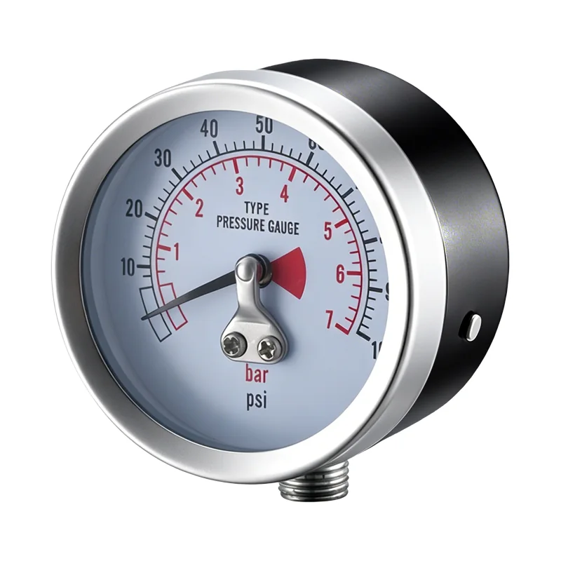 Diaphragm Pressure Gauge - Type 1