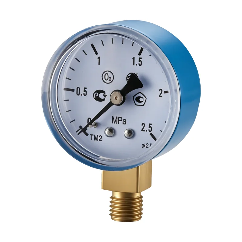Explosion-Proof Pressure Gauge - Type 1